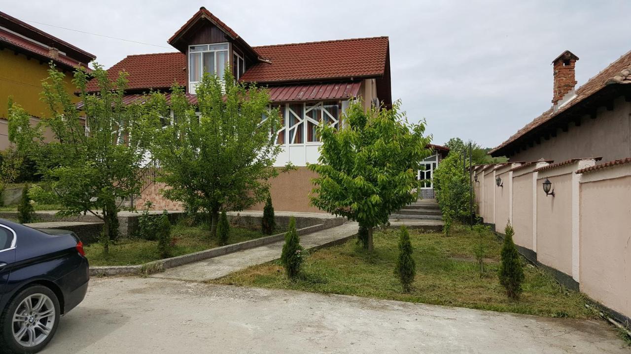 Casele Lena Bed & Breakfast Aldesti  Екстериор снимка
